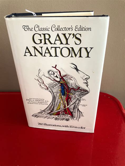 the grey's anatomy book